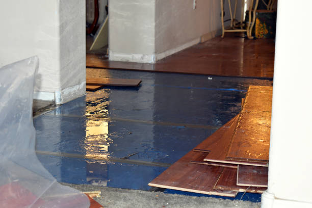 Professional Sewage Cleanup technician working in Hillsboro, AL